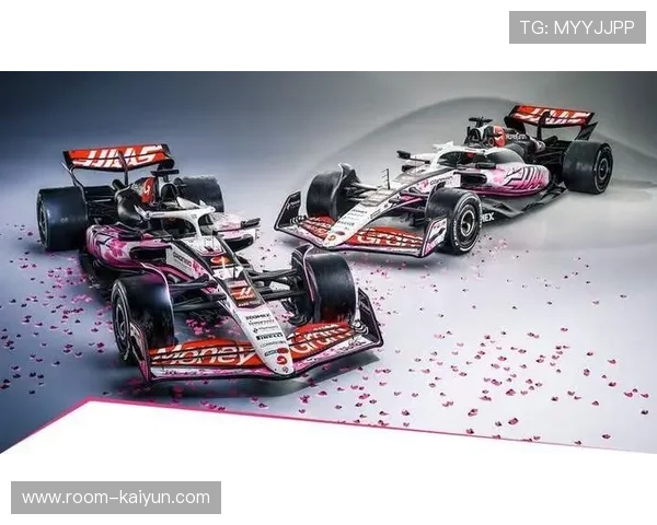 哈斯车队拉斯维加斯站双车积分,超越马丁升第七 哈斯车队拉斯维加斯站双车积分,超越马丁升第七